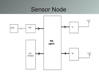 Sensor Node  