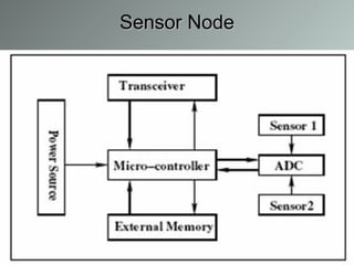 Sensor Node 