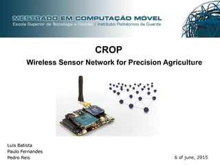 Luis Batista
Paulo Fernandes
Pedro Reis 6 of june, 2015
Wireless Sensor Network for Precision Agriculture
CROP
 