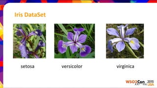 Iris DataSet
setosa versicolor virginica
 