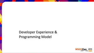 Developer Experience &
Programming Model
 