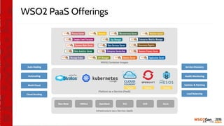 WSO2 PaaS Offerings
 