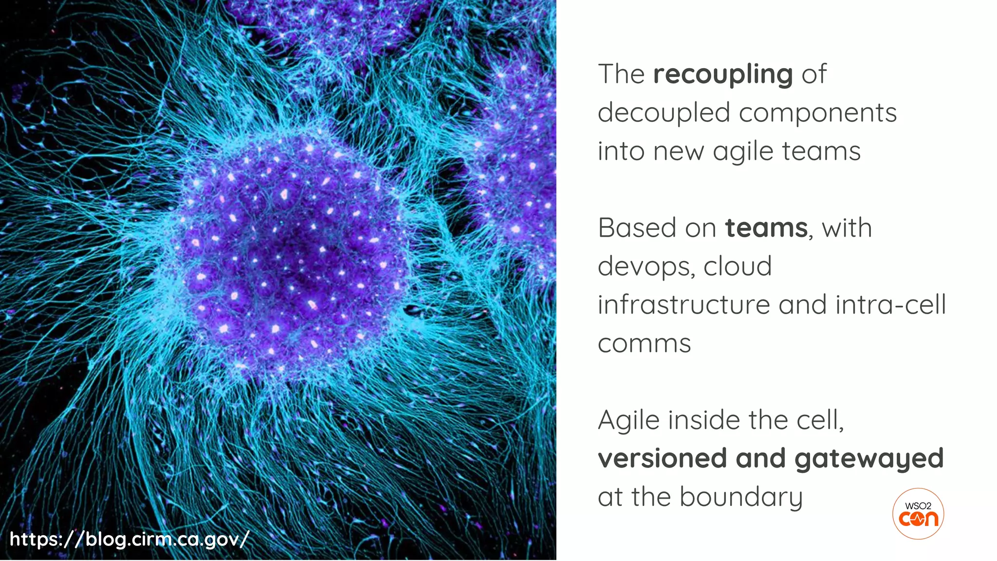 The recoupling of
decoupled components
into new agile teams
Based on teams, with
devops, cloud
infrastructure and intra-cell
comms
Agile inside the cell,
versioned and gatewayed
at the boundary
https://blog.cirm.ca.gov/
 