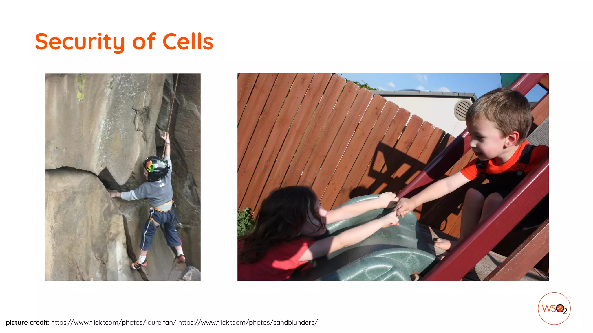 Security of Cells
picture credit: https://www.flickr.com/photos/laurelfan/ https://www.flickr.com/photos/sahdblunders/
 