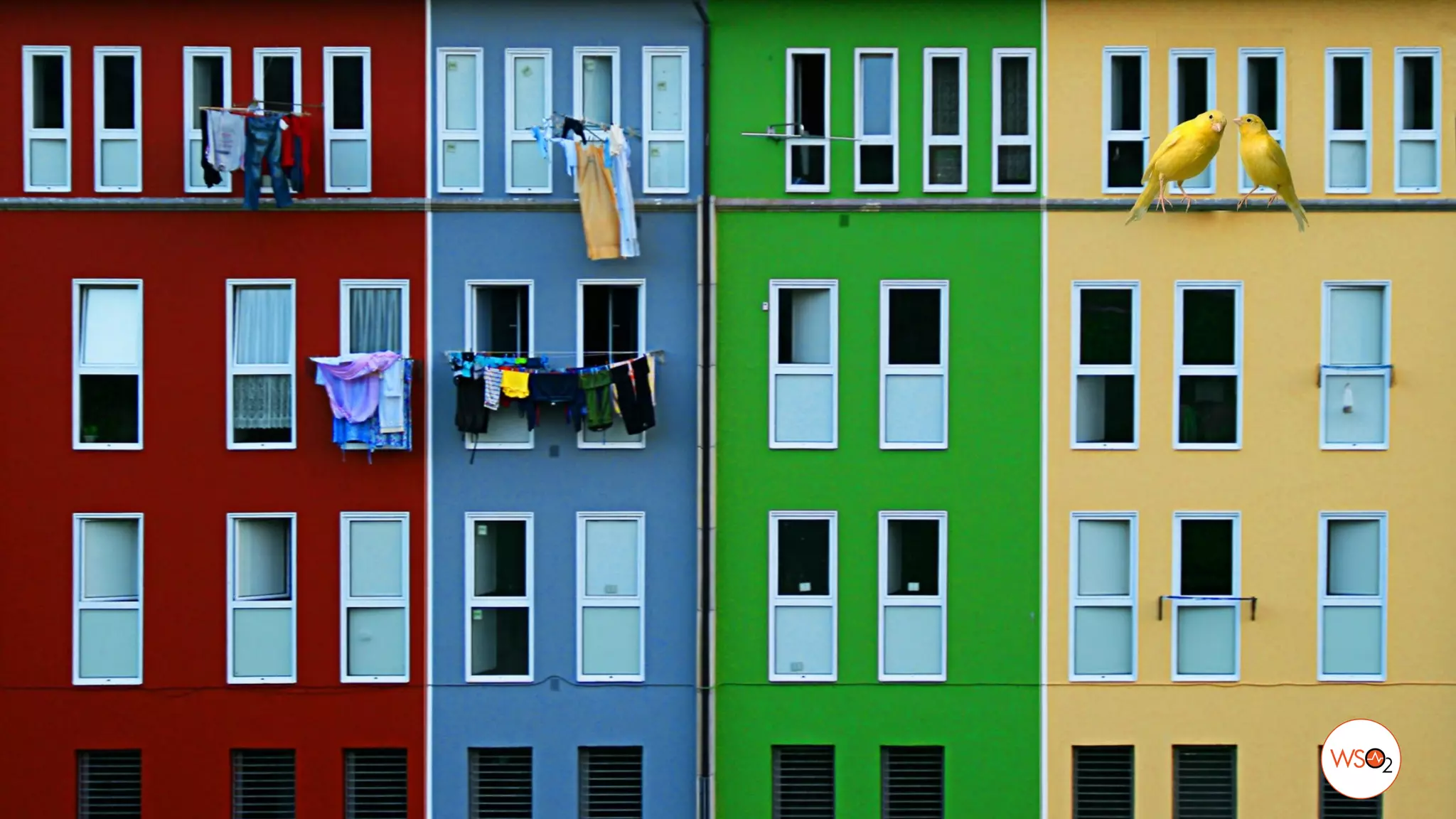 picture credit: https://www.flickr.com/photos/rincon_de_lula/
 