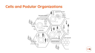 Cells and Podular Organizations
 
