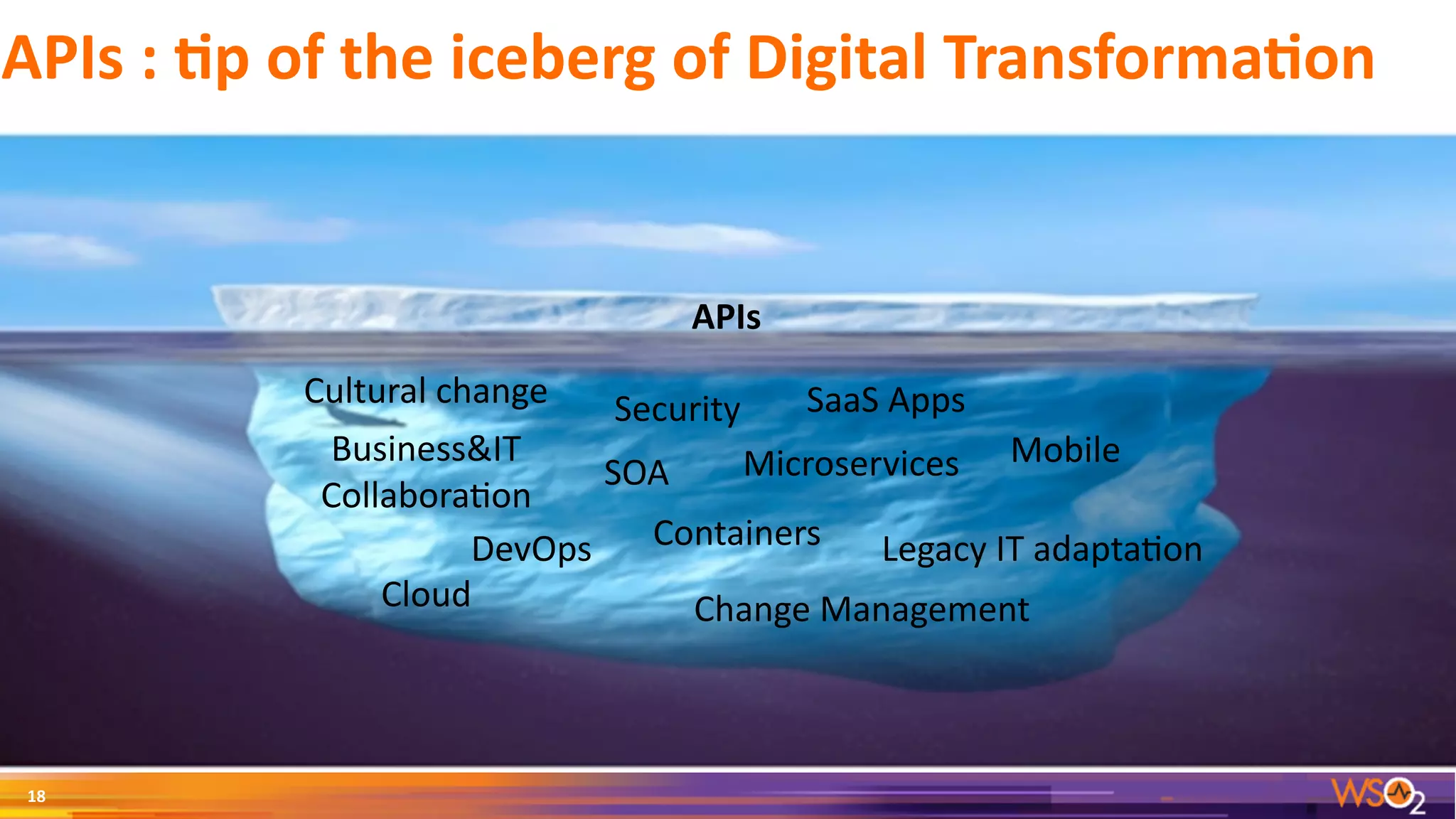 APIs	:	@p	of	the	iceberg	of	Digital	Transforma@on
18
Cultural	change
Legacy	IT	adapta3on
SaaS	Apps
ContainersDevOps
Security
APIs
Business&IT	
Collabora3on
SOA Microservices
Change	ManagementCloud
Mobile
 