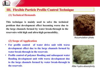 WSO and Profile Control Technology- Sinopec.ppt