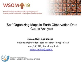 Self-Organizing Maps in Earth Observation Data
Cubes Analysis
National Institute for Space Research (INPE) – Brazil
Lorena Alves dos Santos
June, 28,2019, Barcelona, Spain
lorena.santos@inpe.br