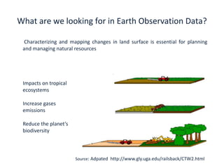 Self-organzing maps in Earth Observation Data Cube Analysis | PPTX