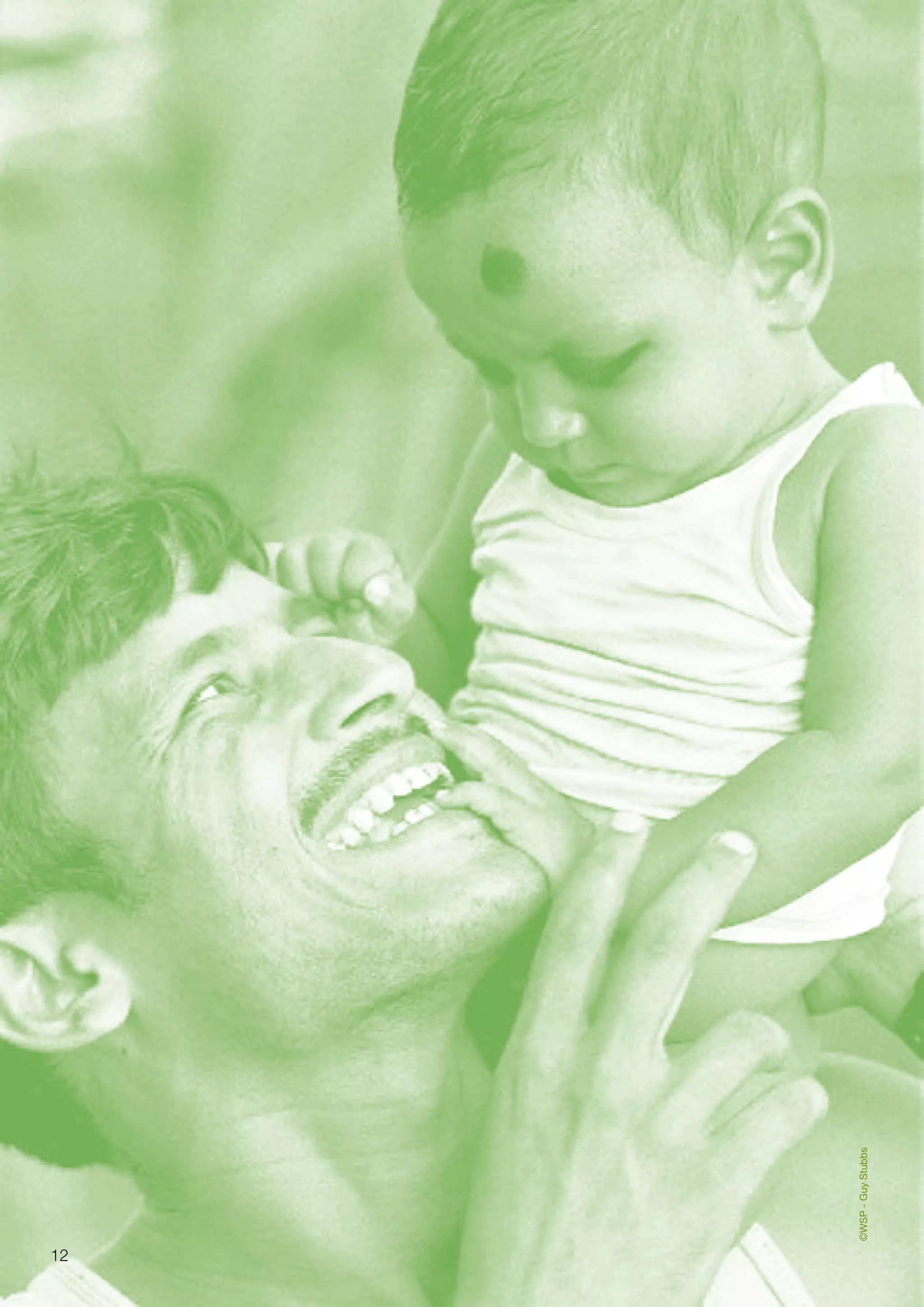 12 
©WSP - Guy Stubbs 
 