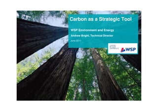 Carbon as a Strategic Tool

WSP Environment and Energy
Andrew Bright, Technical Director
June 2011
 