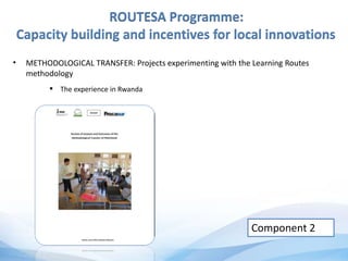 ROUTESA Programme:
Capacity building and incentives for local innovations
• METHODOLOGICAL TRANSFER: Projects experimenting with the Learning Routes
methodology
Component 2
 The experience in Rwanda
 