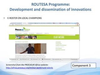 ROUTESA Programme:
Development and dissemination of innovations
• E-ROSTER ON LOCAL CHAMPIONS
Component 3Screenshot from the PROCASUR Africa website:
http://africa.procasur.org/en/our-work/rural-talents
 