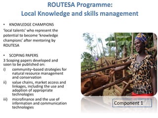 ROUTESA Programme:
Local Knowledge and skills management
• KNOWLEDGE CHAMPIONS
‘local talents’ who represent the
potential to become ‘knowledge
champions’ after mentoring by
ROUTESA
• SCOPING PAPERS
3 Scoping papers developed and
soon to be published on:
i) community–based strategies for
natural resource management
and conservation
ii) value chains, market access and
linkages, including the use and
adoption of appropriate
technologies
iii) microfinance and the use of
information and communication
technologies
Component 1
 