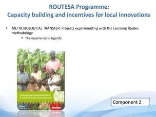 ROUTESA Programme:
Capacity building and incentives for local innovations
• METHODOLOGICAL TRANSFER: Projects experimenting with the Learning Routes
methodology
 The experience in Uganda
Component 2
 