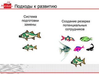 Подходы к развитию Система подготовки замены Создание резерва потенциальных сотрудников 