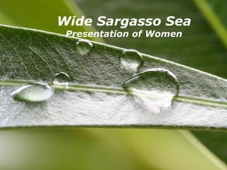 Powerpoint Templates Wide Sargasso Sea Presentation of Women 