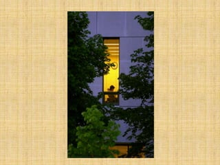 WS Scott Spring 2013