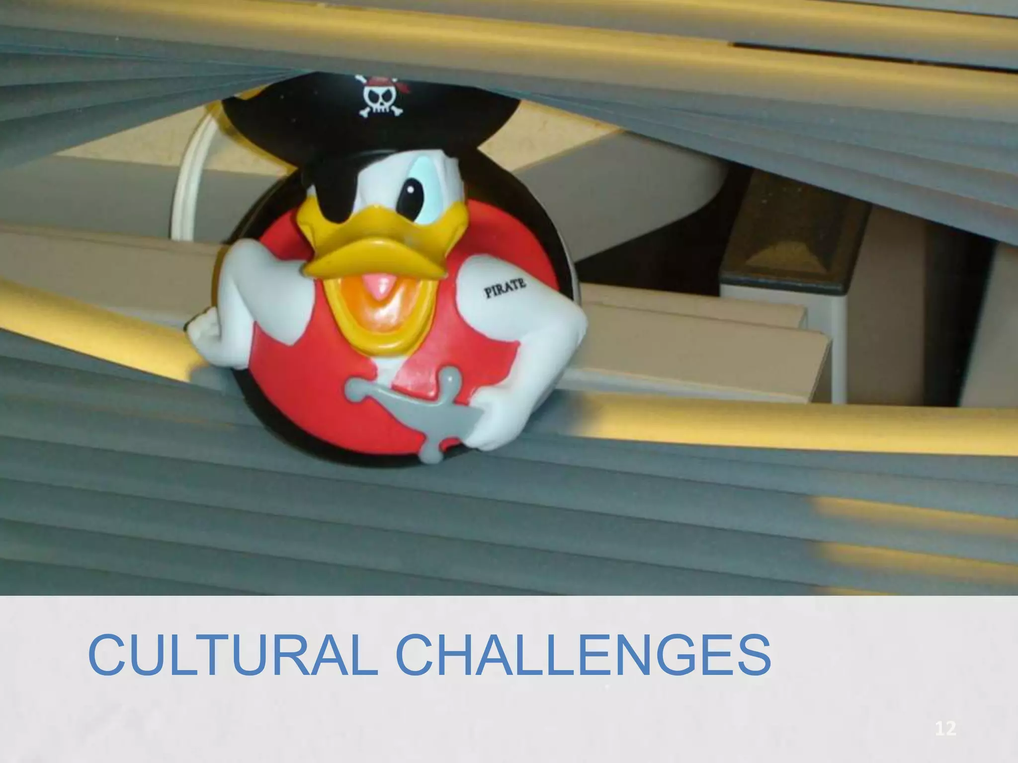 CULTURAL CHALLENGES
12

 