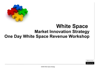 White Space  Market Innovation Strategy One Day White Space Revenue Workshop ©2008 White Space Strategy 