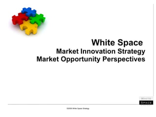 White Space  Market Innovation Strategy Market Opportunity Perspectives ©2008 White Space Strategy 