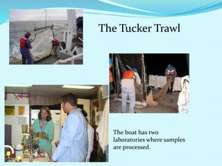 The Tucker Trawl
The boat has two
laboratories where samples
are processed.
 