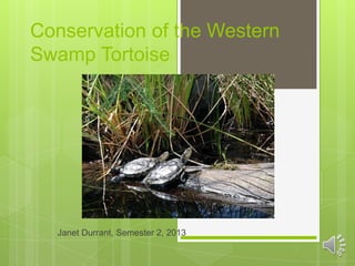 Conservation of the Western
Swamp Tortoise

Janet Durrant, Semester 2, 2013

 