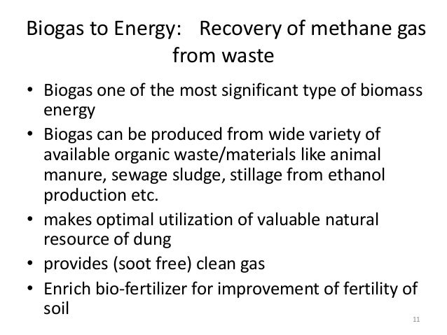 Can An Animal Generate Natural Gas Can An Animal Generate Natural Gas