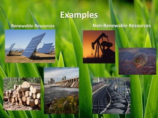 Examples
Renewable Resources Non-Renewable Resources
 
