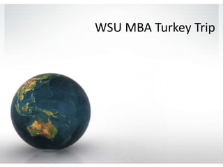 WSU MBA Turkey Trip 