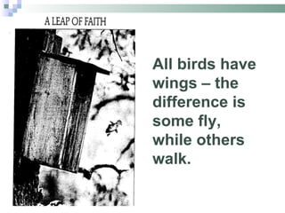All birds have wings – the difference is some fly, while others walk. 