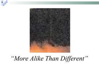 “ More Alike Than Different” 