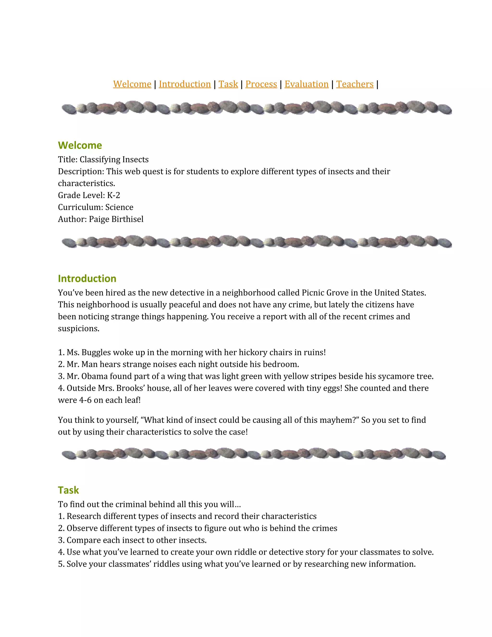 Types of Insects Web Quest | DOCX