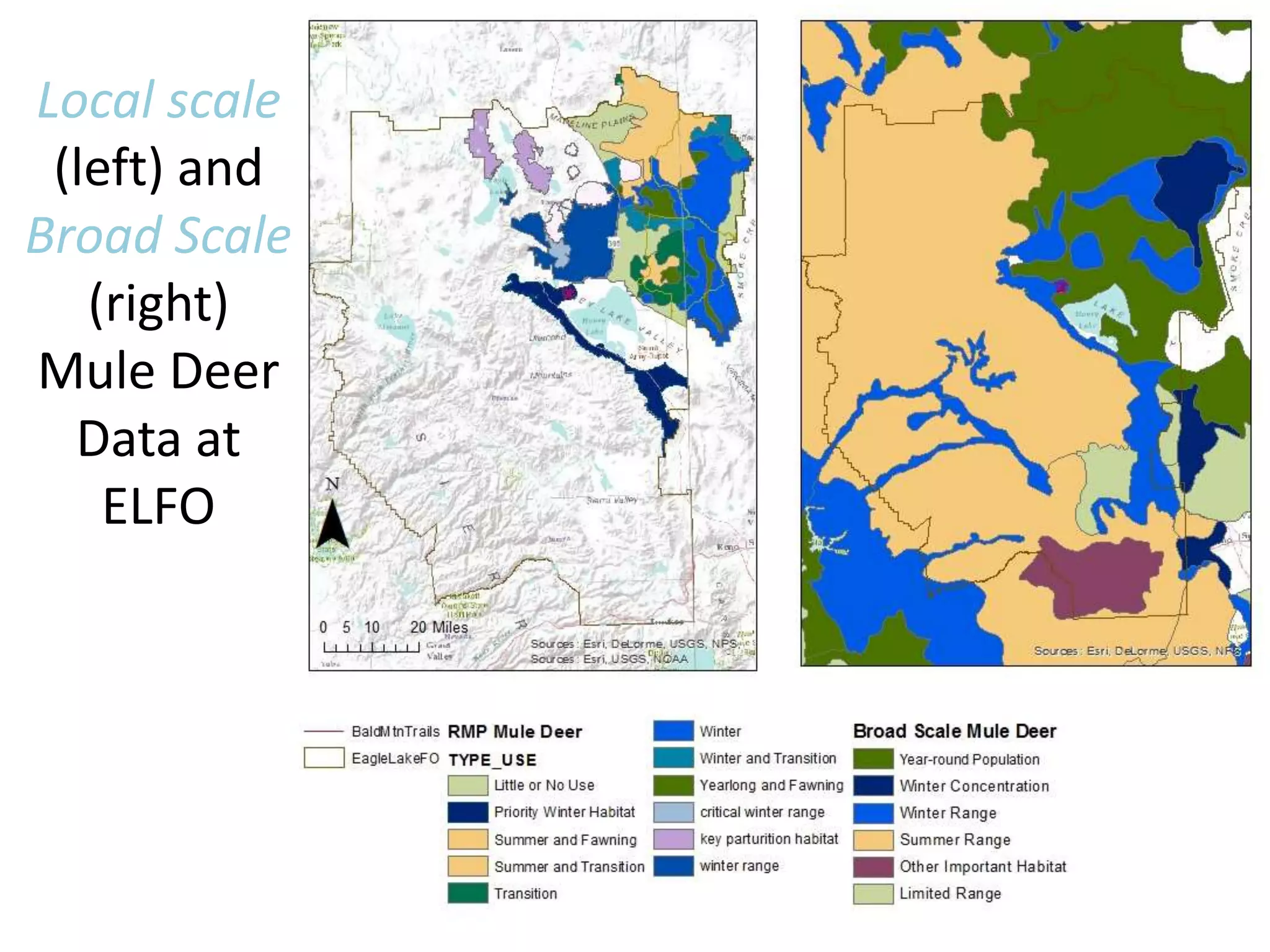 Local scale
(left) and
Broad Scale
(right)
Mule Deer
Data at
ELFO
 