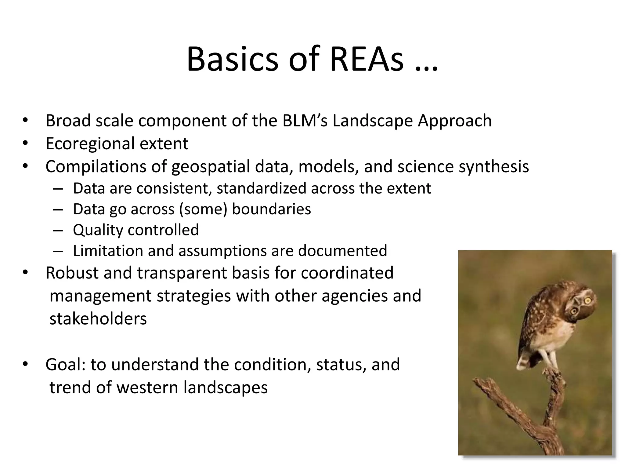 Basics of REAs …
• Broad scale component of the BLM’s Landscape Approach
• Ecoregional extent
• Compilations of geospatial data, models, and science synthesis
– Data are consistent, standardized across the extent
– Data go across (some) boundaries
– Quality controlled
– Limitation and assumptions are documented
• Robust and transparent basis for coordinated
management strategies with other agencies and
stakeholders
• Goal: to understand the condition, status, and
trend of western landscapes
 