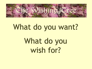 What do you want? What do you wish for? 