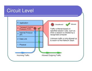 Circuit Level
 