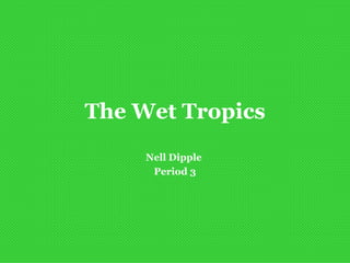 The Wet Tropics Nell Dipple  Period 3 