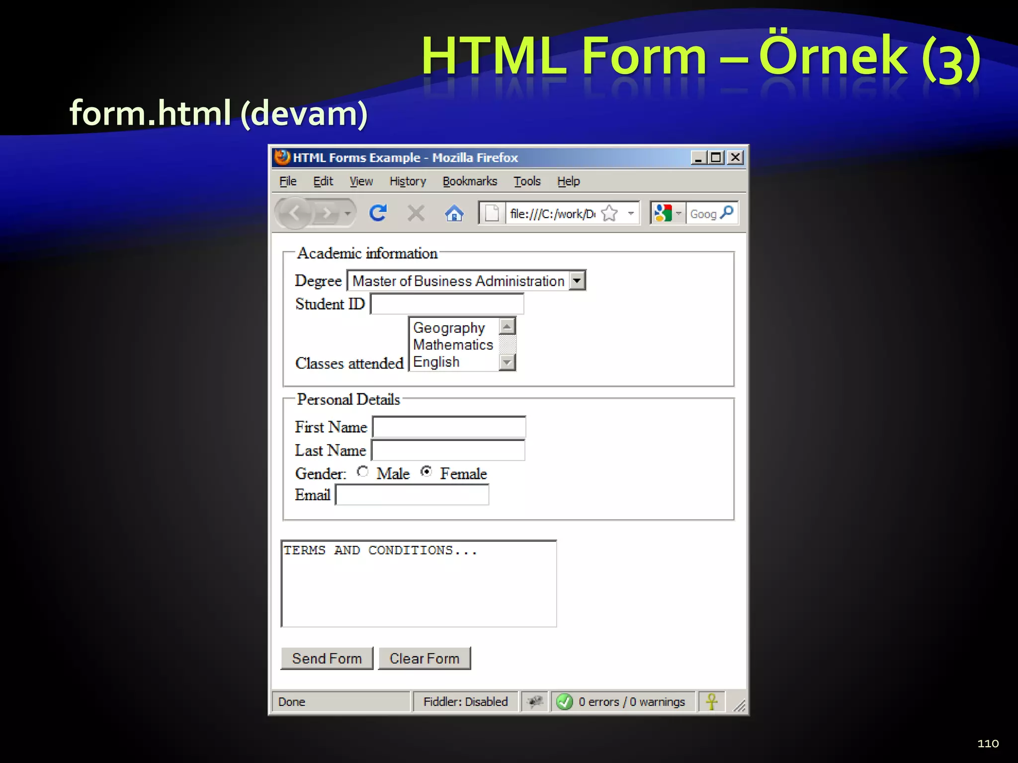 form.html (devam)
HTML Form – Örnek (3)
110
 