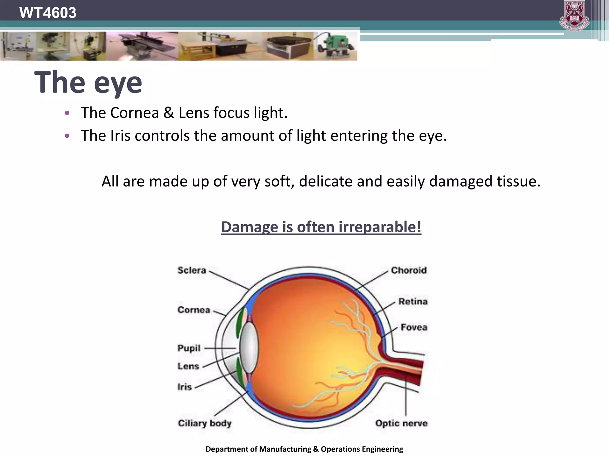 WT4603PPE SelectionIn schools, the selection of PPE is generally the responsibility of the teacher.For this reason, it is vital that teachers are capable of making the correct selection of PPE both for themselves and the pupils left in their care.When selecting PPE, always think of the worst case scenario – What is the worst that could happen?The existence of the “CE” marking on a piece of equipment should indicate that its manufacturer has met all relevant safety standards and requirements.ALWAYS look for this mark when buying PPE (as well as other equipment, tools and machinery.)Department of Manufacturing & Operations Engineering