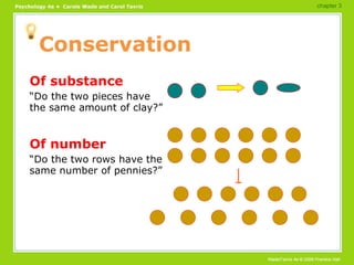 Conservation Of substance “ Do the two pieces have the same amount of clay?” Of number “ Do the two rows have the same number of pennies?” chapter 3 