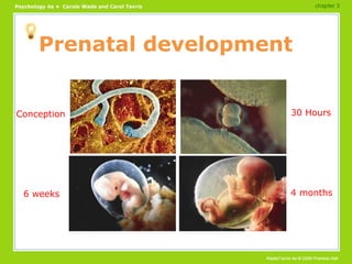 Prenatal development Conception 30 Hours 6 weeks 4 months chapter 3 