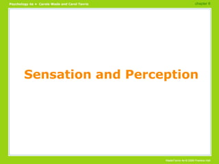 Sensation and Perception chapter 6  