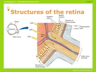 Structures of the retina chapter 6 