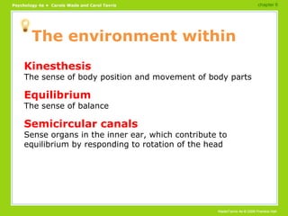 The environment within <ul><li>Kinesthesis </li></ul><ul><li>The sense of body position and movement of body parts </li></...