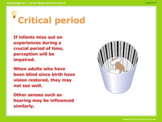 Critical period <ul><li>If infants miss out on experiences during a crucial period of time, perception will be impaired. <...