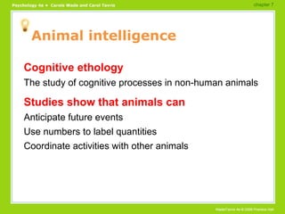 Animal intelligence Cognitive ethology The study of cognitive processes in non-human animals Studies show that animals can Anticipate future events Use numbers to label quantities Coordinate activities with other animals chapter 7  