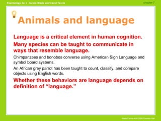 Animals and language Language is a critical element in human cognition. Many species can be taught to communicate in ways that resemble language. Chimpanzees and bonobos converse using American Sign Language and symbol board systems. An African grey parrot has been taught to count, classify, and compare objects using English words. Whether these behaviors are language depends on definition of “language.” chapter 7  
