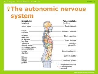 The autonomic nervous system chapter 13 